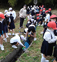 「箕島小学校の3年生野外活動」